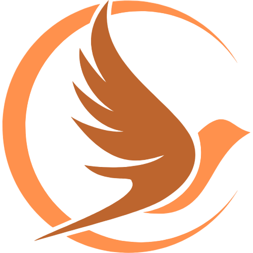 AFLY CLOUD Logo